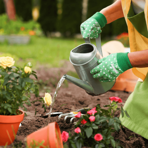 Jardinería